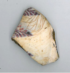 Pottery shards from Loch nan Cnàmh