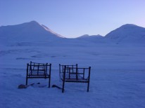 Arctic Beds - March 2005