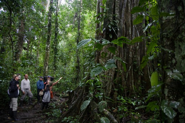 Andes Expedition