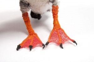 puffin-feet1